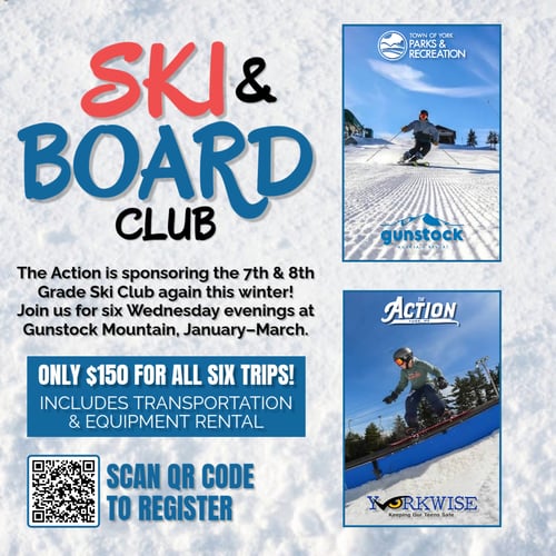 Gunstock Option 2
