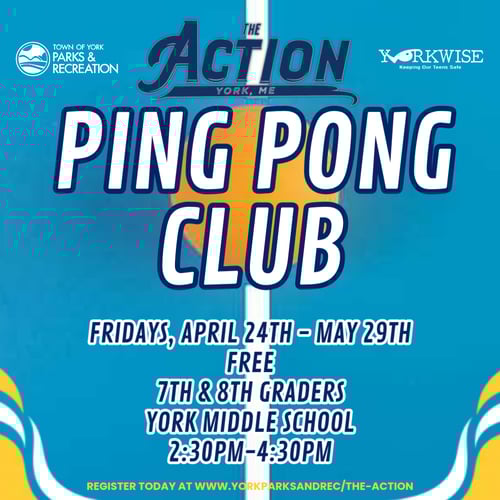 Ping Pong  Poster Flyer