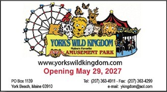 Wild K