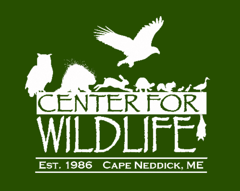 CFW Logo
