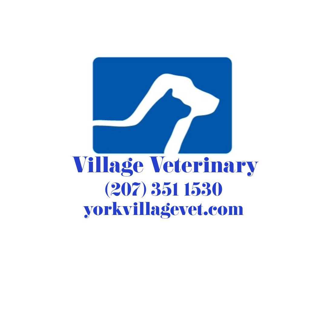 Village Vet